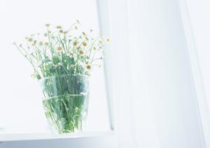 安心と安全な3階建住宅ならここで