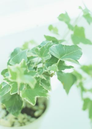 浴室リフォームの魅力と最新トレンドを徹底解説！